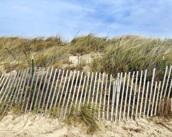 Cape Cod Winter Sand Dunes Photography Print: Coastal Beach Decor