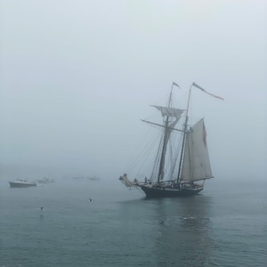Foggy Nantucket Harbor, MA | Cape Cod Print | Photo Gift | Cape Cod Photography | Coastal Home Decor | Beach Photography | Nautical Photo