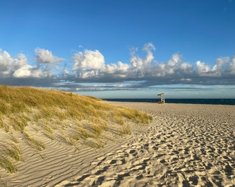 Cape Cod Kunstdruck: Möwe, Yarmouth MA, Möwe