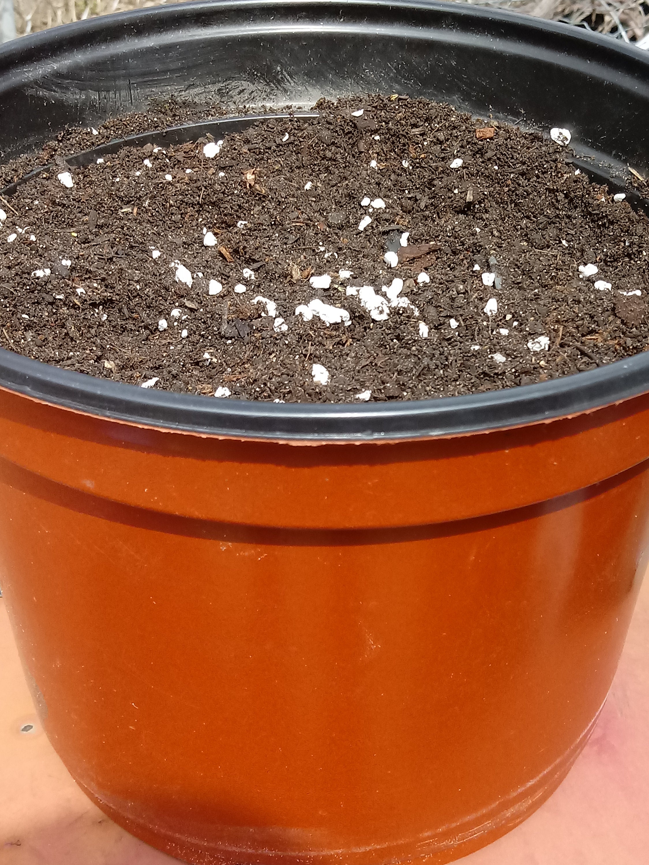 Our Best Organic Potting Soil Mix . 1 Gallon About 2 Pounds in Etsy