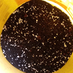 Pu&ograve; includere: Un secchio giallo pieno di terriccio marrone scuro e granuli di fertilizzante bianchi.