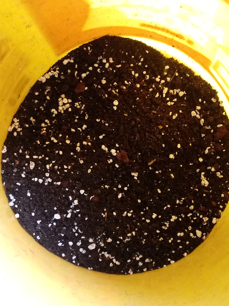 Our Best Organic Potting Soil Mix . 1 Gallon About 2 Pounds in Etsy