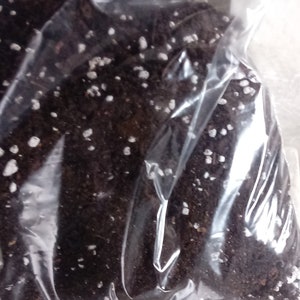 Pu&ograve; includere: Un sacchetto di plastica trasparente pieno di terriccio marrone scuro e perlite bianca. Il terriccio &egrave; una miscela di compost e altri materiali organici.