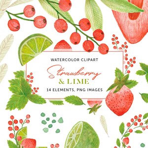 Strawberry & Lime Watercolor Fruit Clipart Set, Fruits Illustration and ...