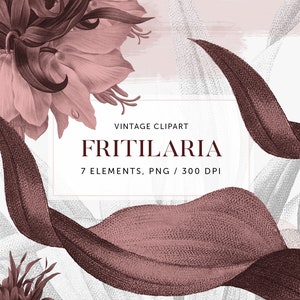 Clipart de flores vintage - ilustração floral digital - Fritilaria Imperialis, gráfico decorativo, clip art feminino, florais em dois tons