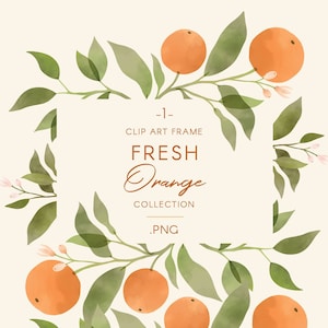 Acuarela naranja frutas marco clip art, marco de ilustración de fruta rectangular, arreglo prefabricado