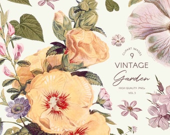 Vintage Floral PNG Clipart: Botanical Illustrations for Wedding invitations, small business Branding or packaging (PNG Digital Download)