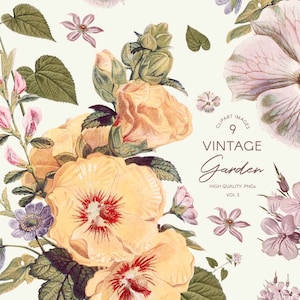 Clipart PNG de fleurs vintage, illustrations botaniques parfaites pour les mariages ou la marque, herbier numérique