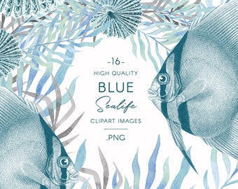 Blauwe vis & zeeleven clip art set, vintage mariene illustraties, perfect voor kinderkamerafdrukken