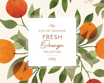 Watercolor Orange fruits & leaves clip art, modern fruit illustration, wreaths, flourishes and pre-made arrangements