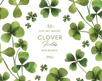 Aquarel Klaver laat illustraties, klaverillustraties, st. Patrick groen graphics