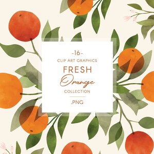 Acuarela Naranja frutas y hojas clip art, ilustración de frutas modernas, coronas, florituras y arreglos prefabricados