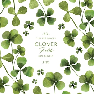 Watercolor Clover leaves clip art, shamrock illustrations, st. Patrick greenery graphics