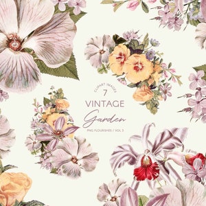 clipart fleurs roses vintage, couronnes et fleurs PNG, illustrations botaniques parfaites pour les mariages ou la stratégie de marque