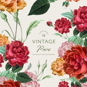 May include: A digital illustration of 18 vintage roses in various shades of red, pink, and orange. The roses are arranged in a bouquet with green leaves and stems. The text "CLIPART IMAGES 18 VINTAGE Roses HIGH QUALITY PNG ILLUSTRATIONS" is displayed in a circle.