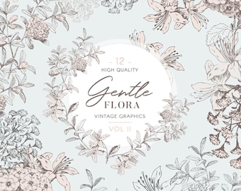 Imágenes prediseñadas botánicas vintage, flora suave, bocetos de flores y coronas