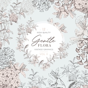 Imágenes prediseñadas botánicas vintage, flora suave, bocetos de flores y coronas