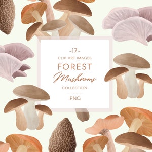 Op de afbeelding: Een digitale illustratie van 17 verschillende soorten paddenstoelen in verschillende kleuren en vormen. De paddenstoelen zijn willekeurig gerangschikt op een lichtgroene achtergrond. De tekst "17 - CLIP ART IMAGES FOREST Mushrooms COLLECTION .PNG" staat in een wit kader in het midden van de afbeelding.