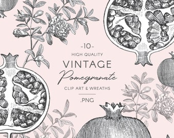 Vintage Flower & Fruit Clipart, PNG pomegranate Botanical illustration