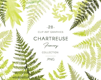 Fern greenery PNG clip art, watercolor botanical illustrations, black/white + color elements included