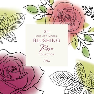 Arte de linha Clipa art de rosas e folhagens, manchas de aquarela transparentes incluídas