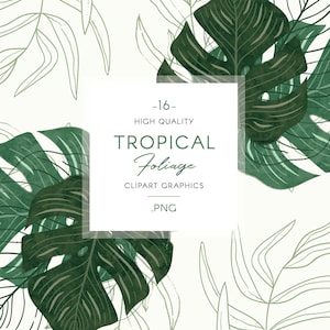 Tropical Foliage clip art, hand painted leaf illustration, botanical line drawing & wreaths