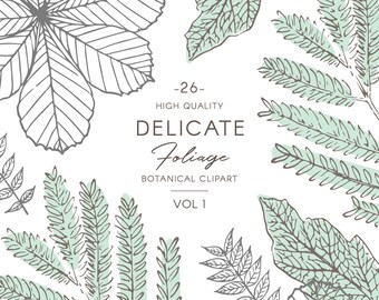May include: A set of 26 high quality botanical clipart illustrations of delicate foliage in shades of green and gray. The illustrations are perfect for creating invitations, cards, and other paper crafts.