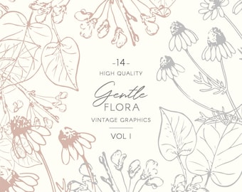 Imágenes prediseñadas botánicas florales vintage - Ilustración de dibujo de líneas rubor y gris