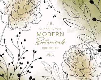 Line art Peony & leaves clipart, PNG fine art botanical graphics