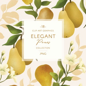 ClipArt di frutti e fiori di pera gialla, PNG Illustrazione di frutta ad acquerello