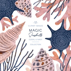 Summer Seashells Clip art, acuarela coral y marina, ilustraciones náuticas