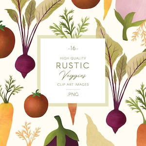 Rustieke aquarel groenten illustraties, kleurrijke groenten illustratie, tomaat, wortel, pompoen, biet, aubergine