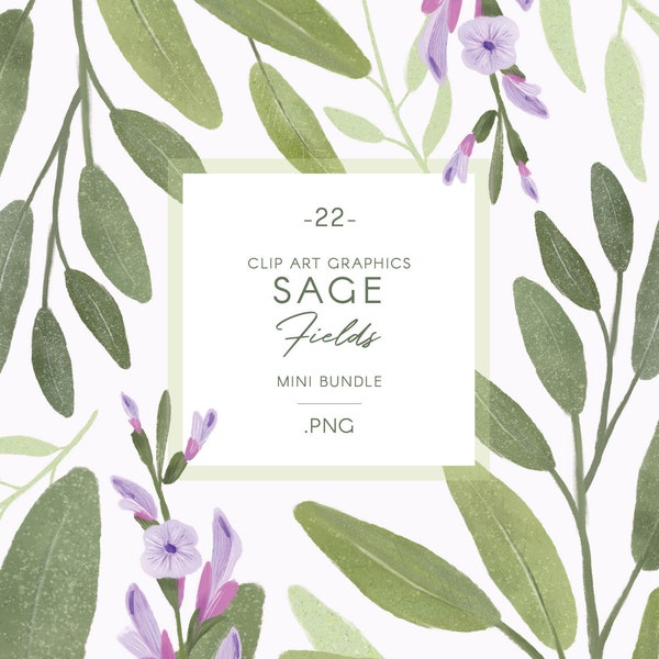 Sage flowers & foliage clip art, PNG botanical gouache illustrations