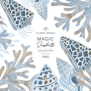 Light Blue Seashells Clip art, ilustraciones oceánicas en acuarela, vida marina pintada, perfecto para impresiones infantiles