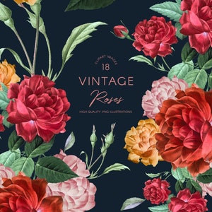 May include: A digital illustration of 18 vintage roses in various shades of red, pink, and orange. The roses are arranged in a bouquet with green leaves and buds. The text "Clipart Images 18 Vintage Roses High Quality PNG Illustrations" is displayed in the center of the image.