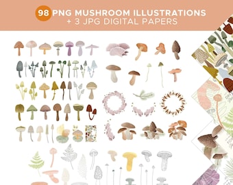ClipArt di funghi BUNDLE png, grafica colorata di funghi, illustrazione di funghi ad acquerello