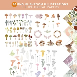ClipArt di funghi BUNDLE png, grafica colorata di funghi, illustrazione di funghi ad acquerello