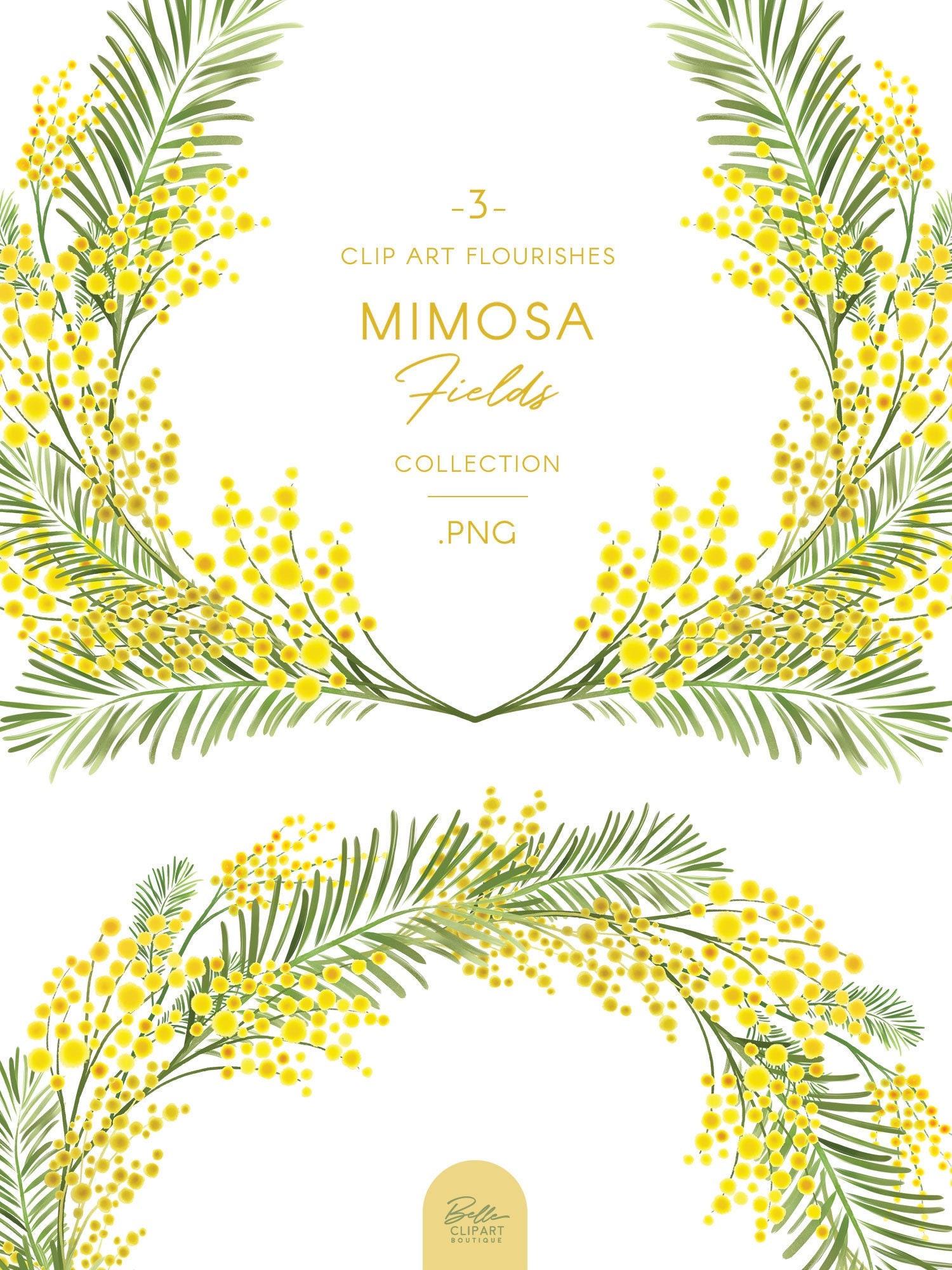 Mimosa Flourish Frame & Wreath Clip Art Yellow Watercolor - Etsy
