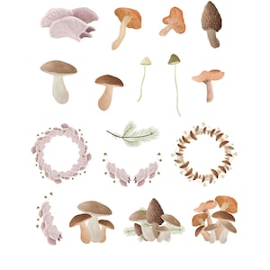 Op de afbeelding: Een set van 17 aquarel illustraties van paddenstoelen in verschillende kleuren en stijlen, waaronder kransen, enkele paddenstoelen en groepen paddenstoelen. De tekst "17 versatile mushroom graphics" staat onderaan de afbeelding.