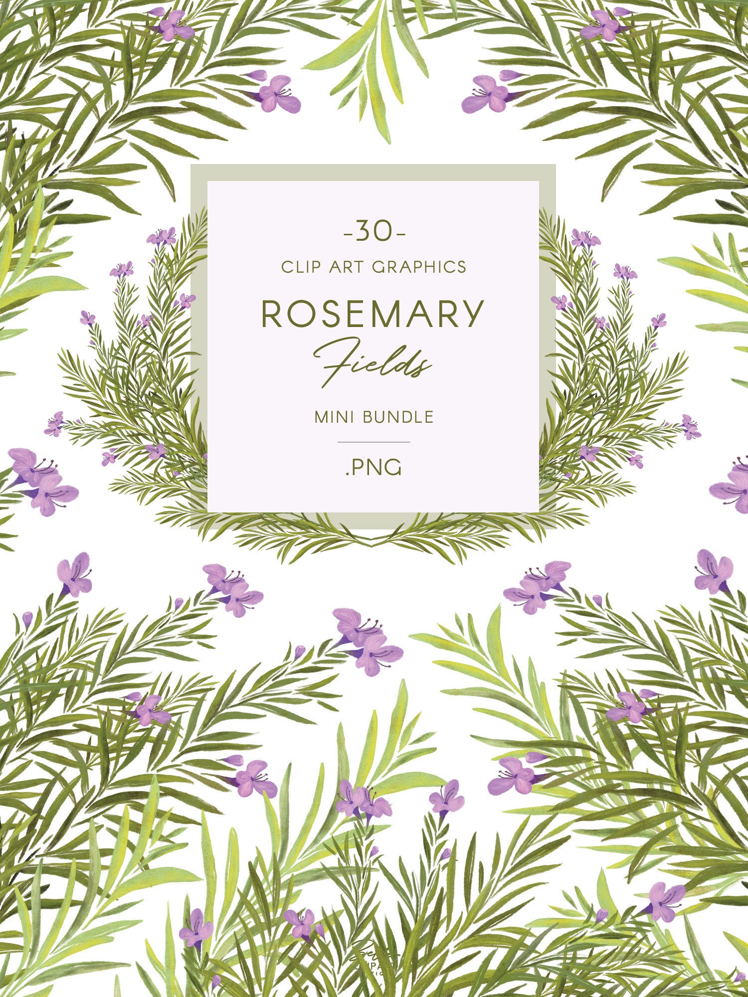 Rosemary Flowers & Foliage Clip Art Line Art Botanical Etsy