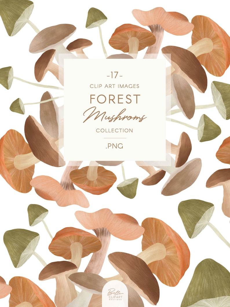 Op de afbeelding: Een verzameling van 17 aquarel illustraties van boszwammen in verschillende tinten bruin, beige en groen. De paddenstoelen zijn willekeurig gerangschikt op een witte achtergrond. De tekst "Forest Mushrooms Collection .PNG" wordt weergegeven in een wit rechthoek.