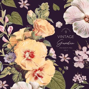May include: A digital illustration of a vintage garden with yellow, pink, and white flowers on a dark purple background. The text "CLIPART IMAGES 9 VINTAGE Garden HIGH QUALITY .PNG VOL 3" is in the center of the image.