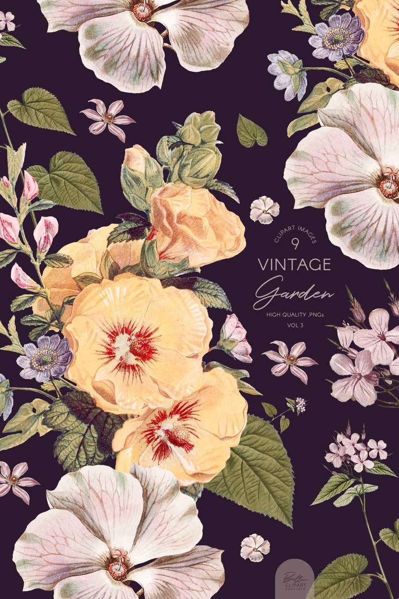 May include: A digital illustration of a vintage garden with yellow, pink, and white flowers on a dark purple background. The text "CLIPART IMAGES 9 VINTAGE Garden HIGH QUALITY .PNG VOL 3" is in the center of the image.