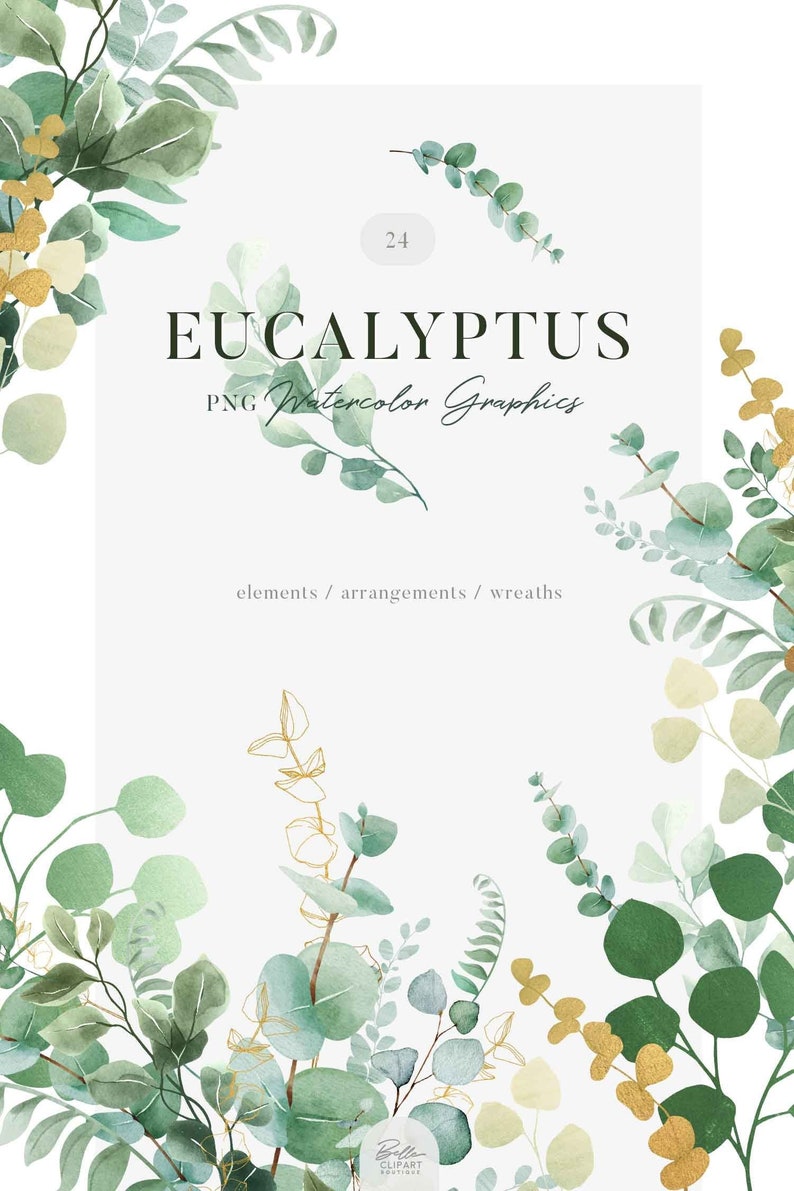 Watercolor Eucalyptus Greenery PNG Clip Art, Painted Botanical ...