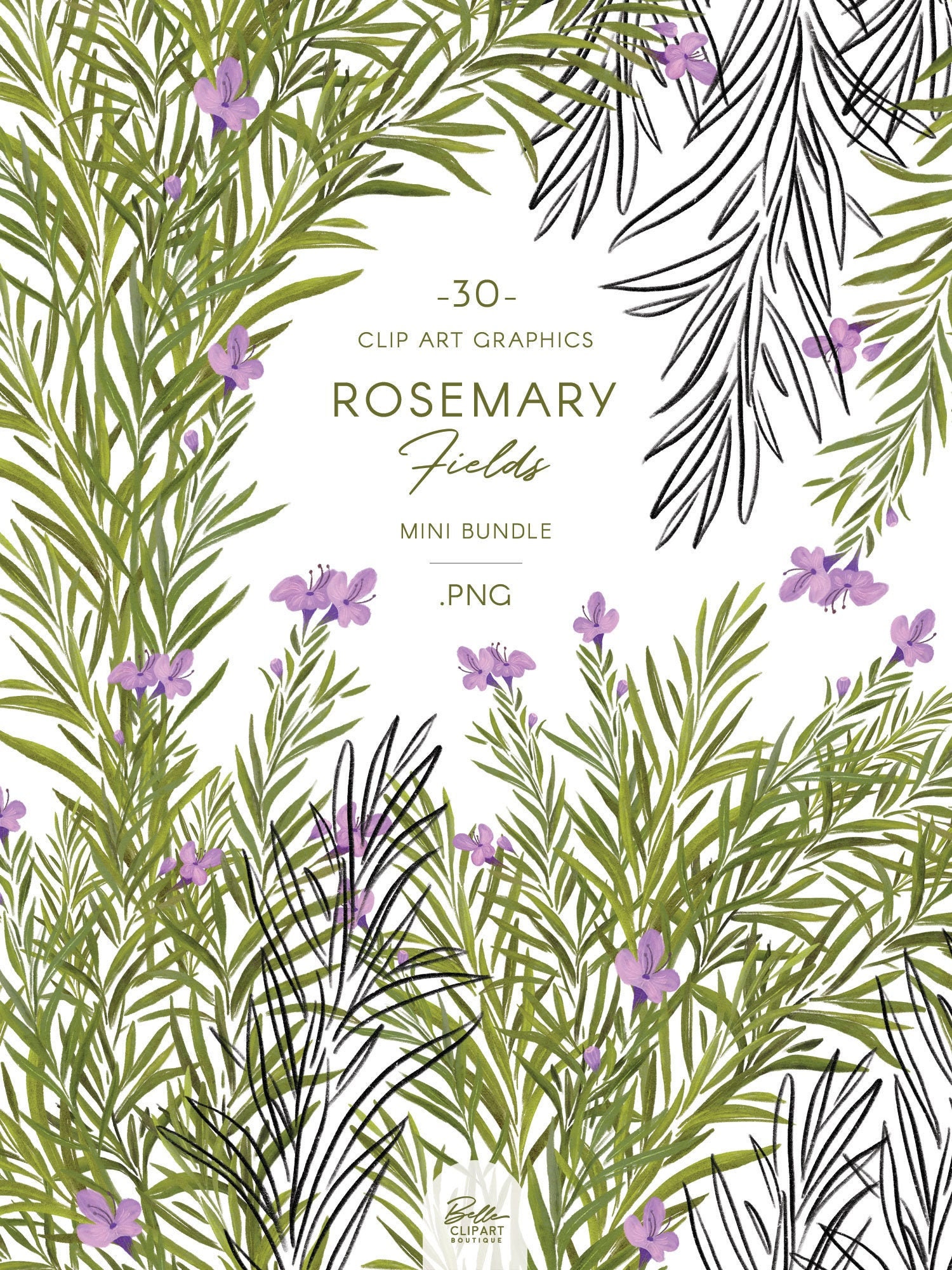 Rosemary Flowers & Foliage Clip Art, Line Art Botanical Illustrations