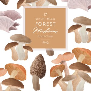 Op de afbeelding: Een verzameling van 17 digitale illustraties van verschillende paddenstoelen in verschillende kleuren en vormen. De paddenstoelen zijn getekend in aquarelstijl en hebben een vintage esthetiek. De tekst "FOREST Mushrooms COLLECTION .PNG" wordt weergegeven op een bruine rechthoek.