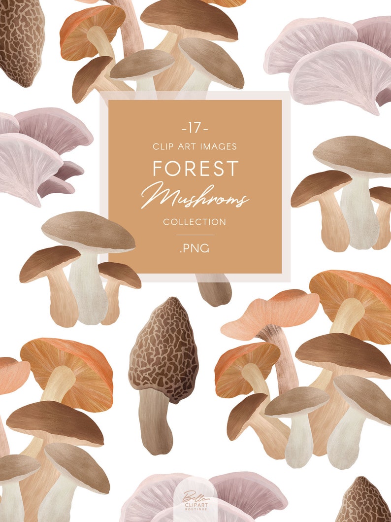Op de afbeelding: Een verzameling van 17 digitale illustraties van verschillende paddenstoelen in verschillende kleuren en vormen. De paddenstoelen zijn getekend in aquarelstijl en hebben een vintage esthetiek. De tekst "FOREST Mushrooms COLLECTION .PNG" wordt weergegeven op een bruine rechthoek.