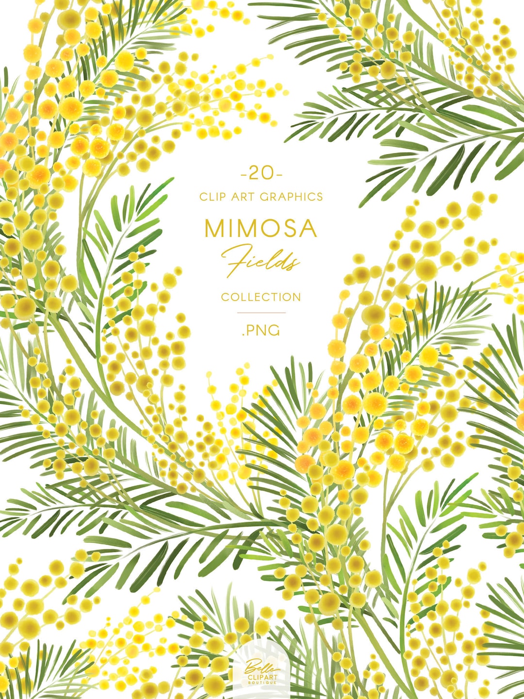 Mimosa Flowers, Wreaths & Frames Clip Art, Yellow Watercolor Acacia ...
