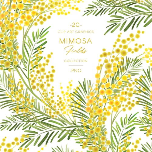 Mimosa Flowers Wreaths & Frames Clip Art Yellow Watercolor - Etsy