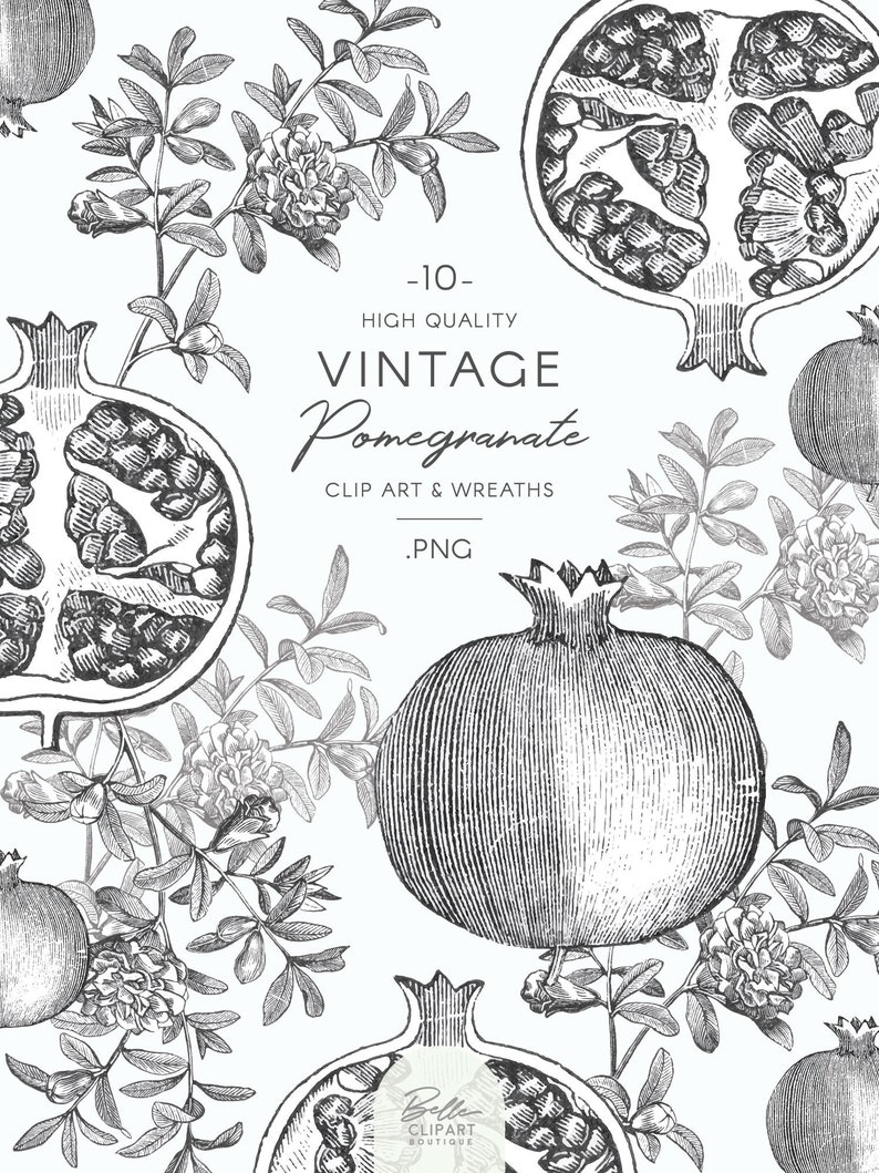 Może przedstawiać: Vintage czarno-białe ilustracje liniowe granat&oacute;w i liści. Tekst "Vintage Pomegranate Clip Art & Wreaths .PNG" jest zawarty w obrazie.